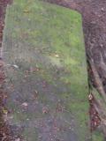 image of grave number 174451